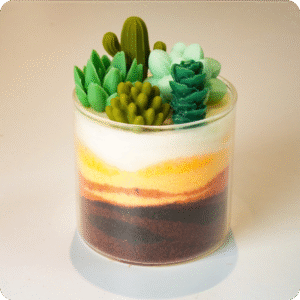 Cốc nến xương rồng