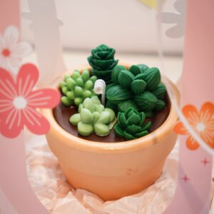 nến chậu cây sen đá