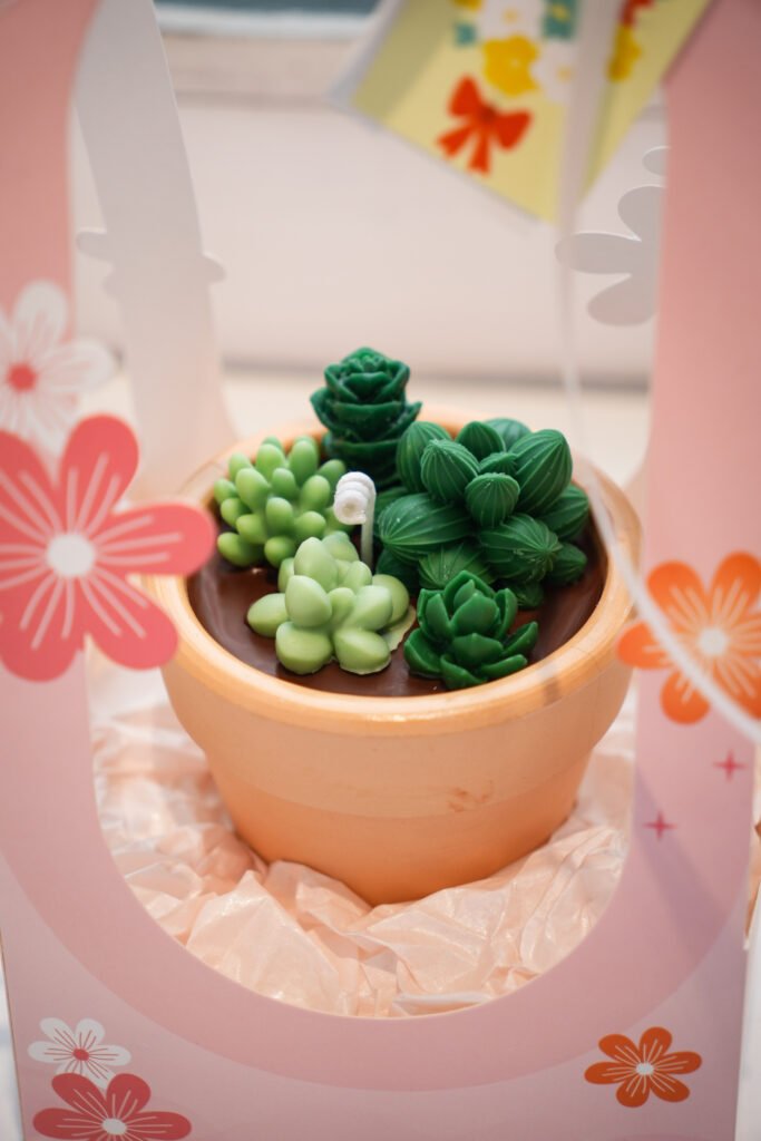 nến chậu cây sen đá